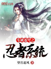 Đấu phá trời cao chi ninja hệ thống