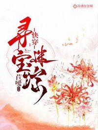 Xuyên nhanh: Tầm bảo mê tung