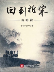 Bắc Tống chấn hưng công lược